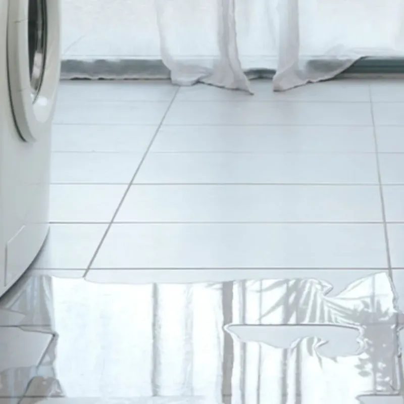Appliance Leak Cleanup in Brier, WA
