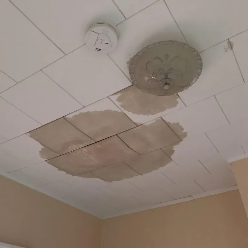 Ceiling Water Damage Repair in Brier, WA