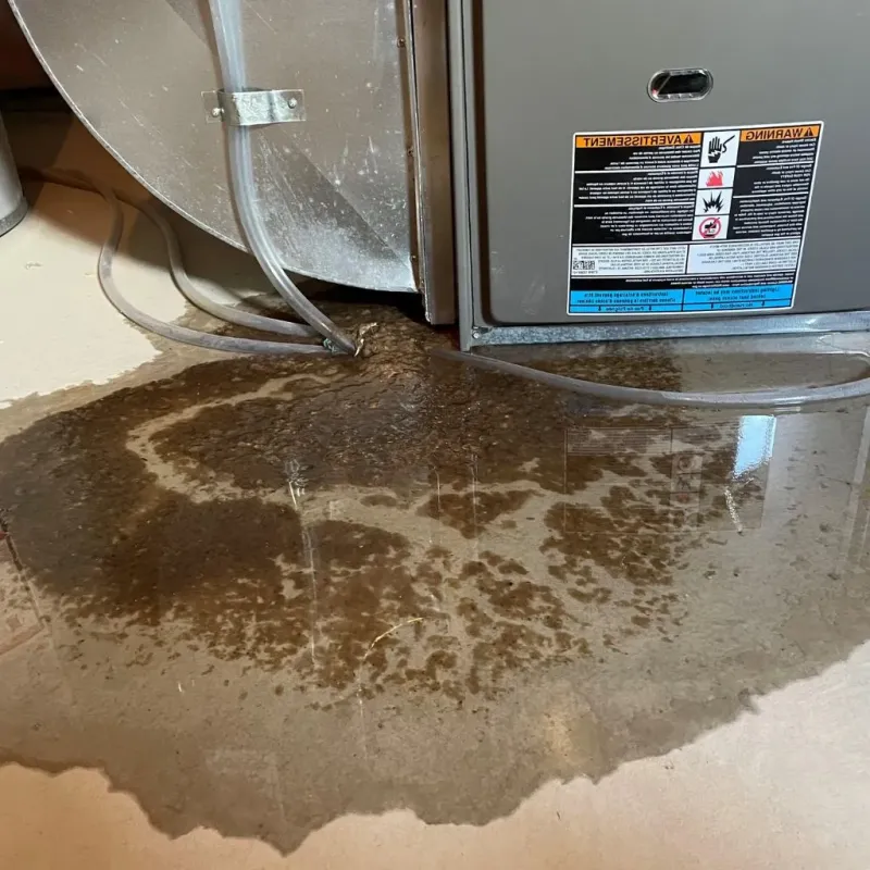 Pipe Burst and Leak Restoration in Brier, WA